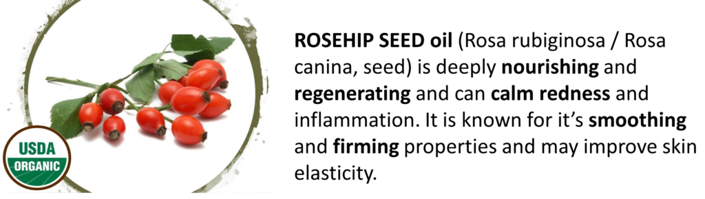 Made Simple Skin Care certified organic vegan rosehip seed oil